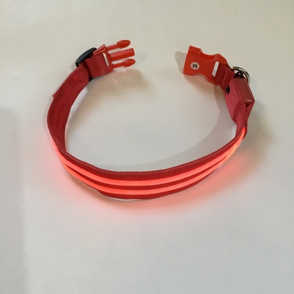 Illumiseen LED dog collar, lights up or flashes, nylon, size M, fits 16” to 20”. - Picture 4 of 8